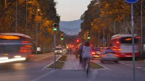 Timelapse - Dusk Traffic - Slow Shutter Stock Footage 81309054