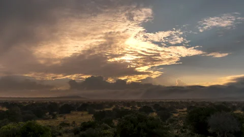 Timelapse early morning in Tsavo West national park, Kenya 스톡 동영상 131734053