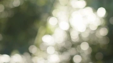 Timelapse of Eclipse Stock Footage 85826318