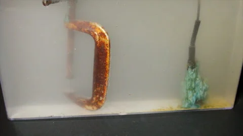 Timelapse of electrolytic cleaning of c-clamp. Mineral deposits collect on Vidéo 318604580