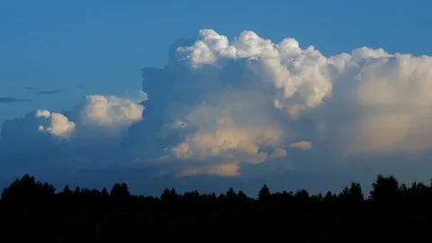 Timelapse: epic storm clouds forming over spruce trees silhouettes. Stock Footage 120505046