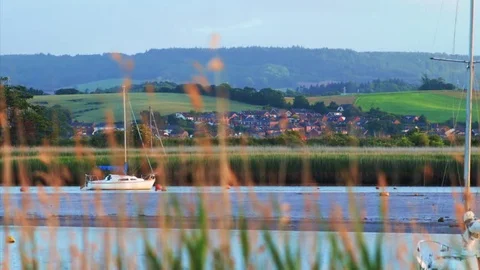Timelapse of estuary (Colour Graded) Stock Footage 81182166