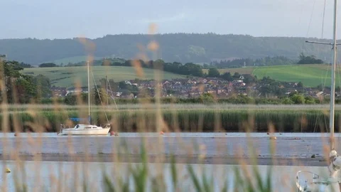 Timelapse of estuary Stock Footage 81181932