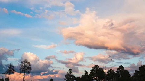 Timelapse of evening clouds over pine trees Stock Footage 248580927