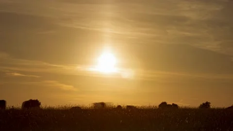 Timelapse of evening sunset on Minchinhampton Common, Gloucestershire Видео 161101753