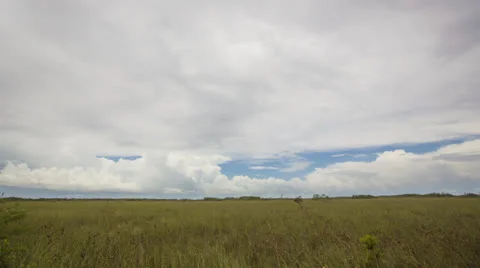 Timelapse of Everglades Grassland Stock Footage 26745138