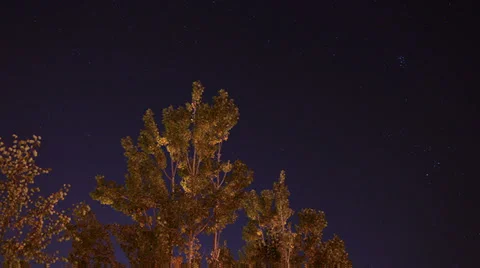 Timelapse of fall trees and stars Stock Footage 33751206