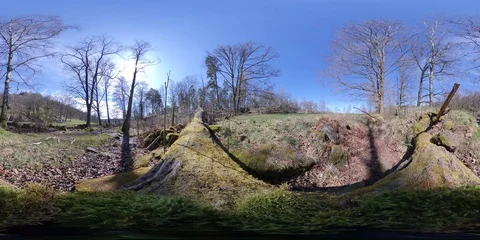 Timelapse Fallen Tree in a Valley with Oak Trees Autumn - 360 VR Video stock 129491009
