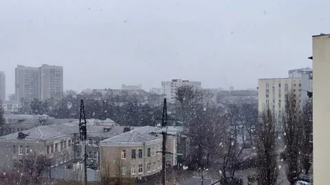 Timelapse of falling snow on a winter day Stock Footage 230015449