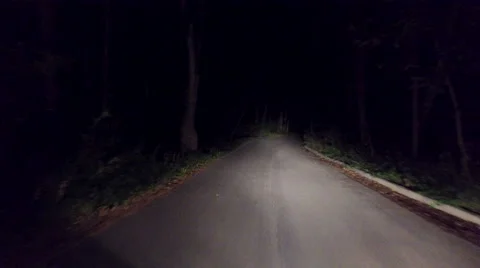 Timelapse Fast Driving on rural forest road at night, pov 스톡 동영상 67675984
