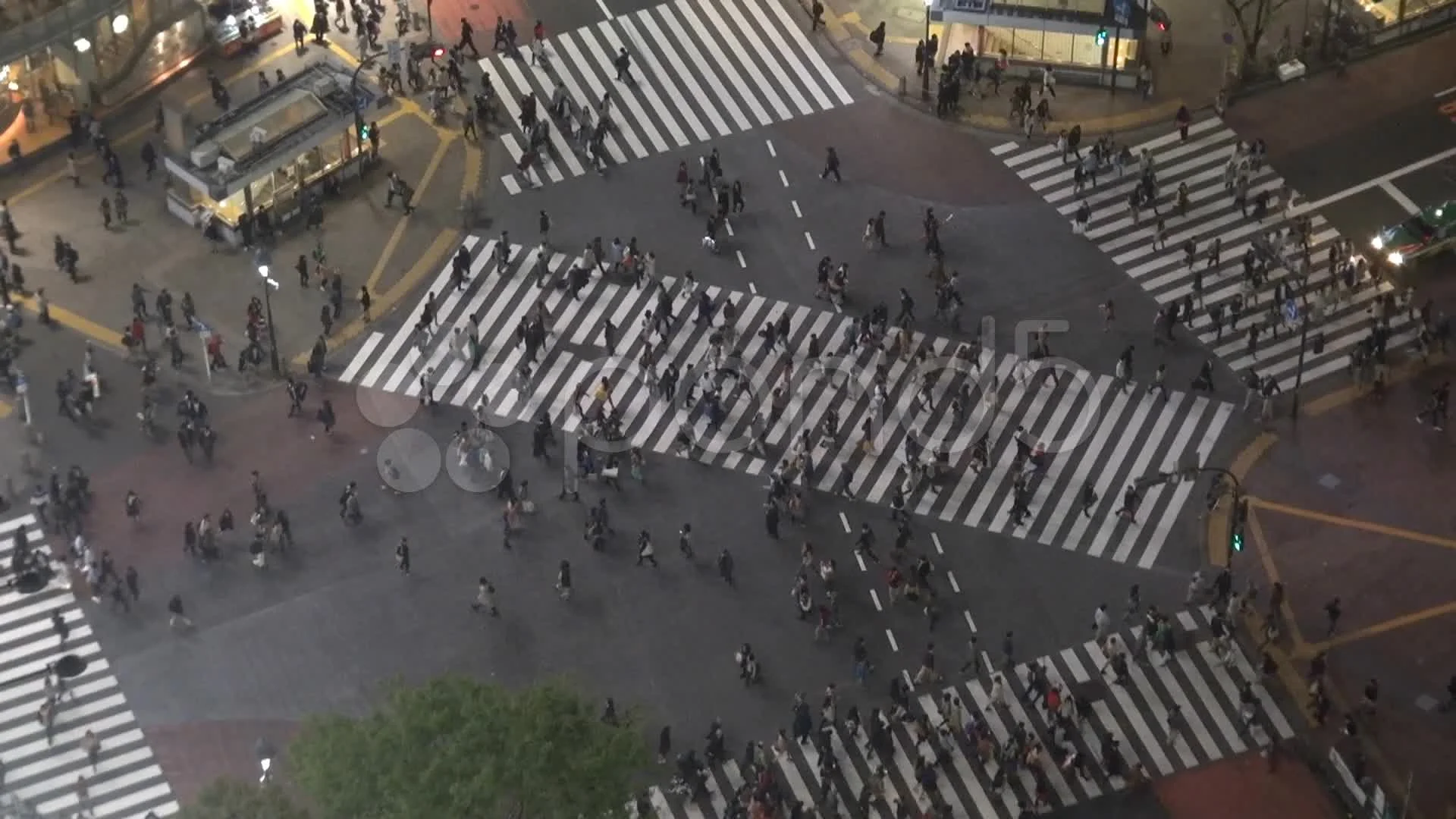 Timelapse of crowds of people crossing roads in Shibuya district