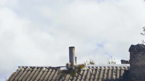 Timelapse of fast movement of beautiful clouds over an old roof with chimney Vídeos de archivo 238987758