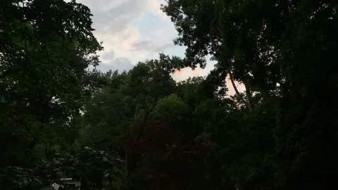 Timelapse: Fast moving evening clouds fade to dark against silhouetted trees. Stock Footage 134847626