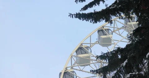 Timelapse of Ferris wheel close-up view from fir-trees daytime. Stock Footage 109550143