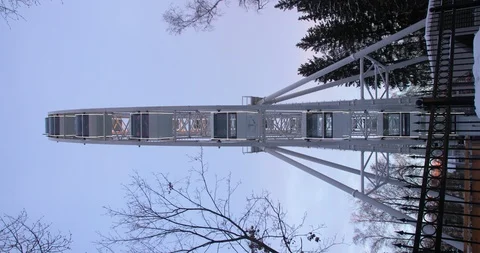 Timelapse of Ferris wheel close-up view from fir-trees. Stock Footage 109550679
