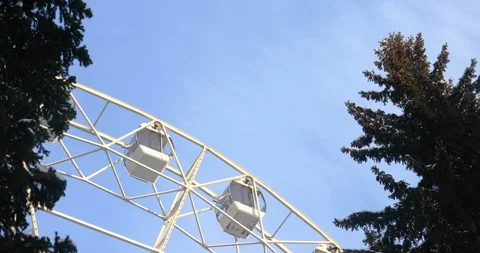 Timelapse of Ferris wheel close-up view from fir-trees. Stock Footage 109550701