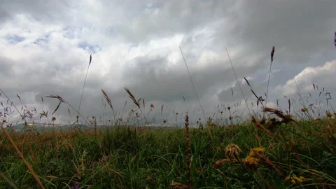 Timelapse in the field, clouds, grass, mountains. the camera rotates 動画素材 157660408