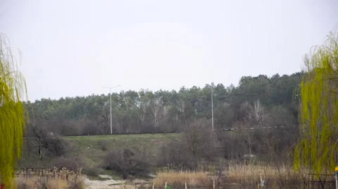 Timelapse filmed a road in a forest Stock Footage 62481598