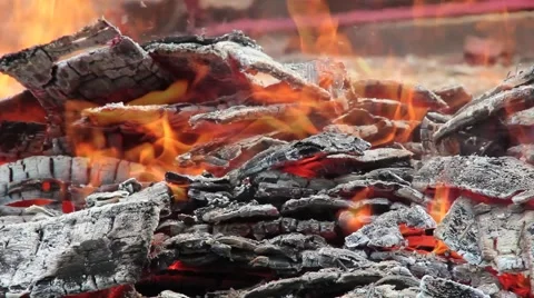 Timelapse Fire and Ash Video stock 5165192