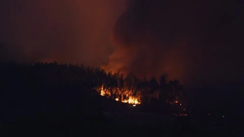 Timelapse of fire and smoke in forest during Wildfire Seiça, Portugal at night Stock Footage 226201539