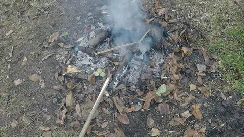 Timelapse of fire Stock Footage 86573971