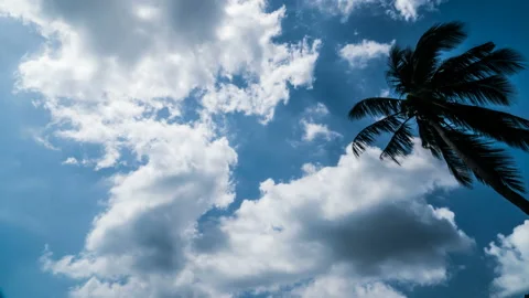 Timelapse of the floating clouds in the sky Stock Footage 105439055