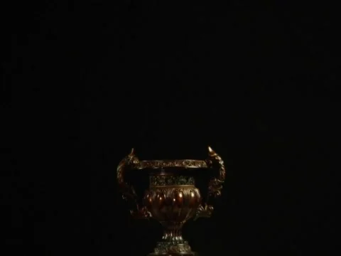 Timelapse flowerbud Video stock 313172