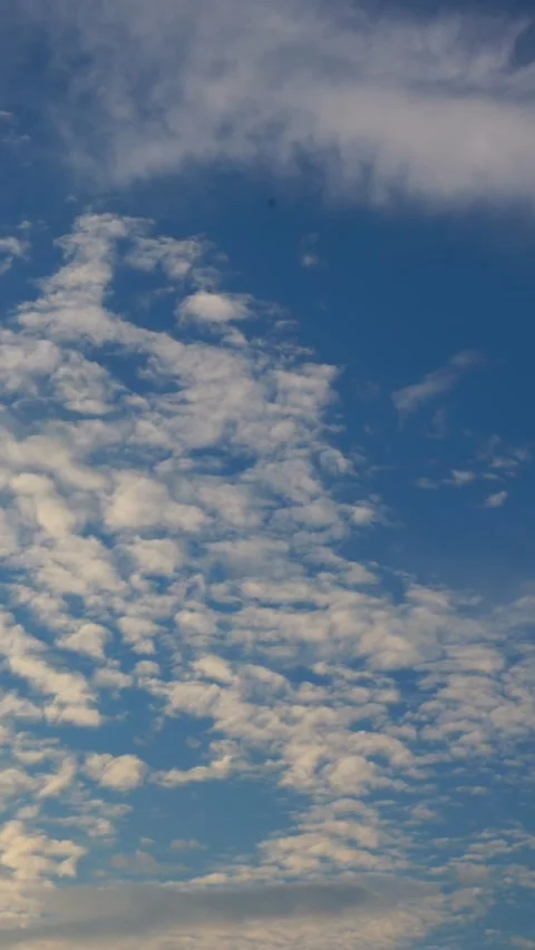 Timelapse of Fluffy Cumulus Clouds Against Blue Sky Stock Footage 311554094
