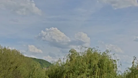 Timelapse of flying clouds over green trees and hill. 4k Stock Footage 88914364