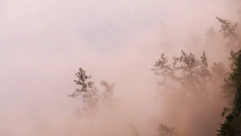 Timelapse with fog and clouds in mountains Stock Footage 100123053
