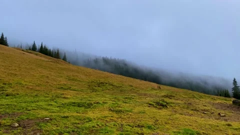Timelapse fog covers the forest Stock Footage 221268800