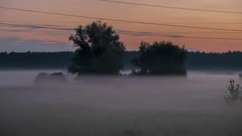 Timelapse of fog on farm fields with trees and forest in the background Stock Footage 197326661