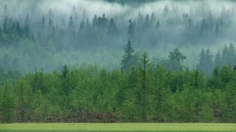 Timelapse of fog Stock Footage 10789690
