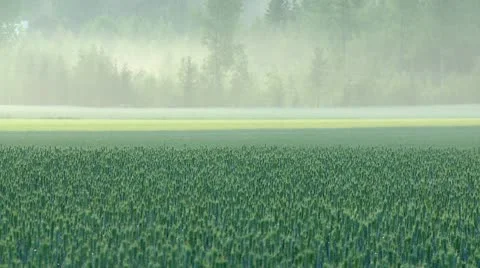 Timelapse of fog Stock Footage 10789731