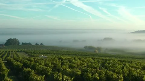 Timelapse fog Stock Footage 20984386