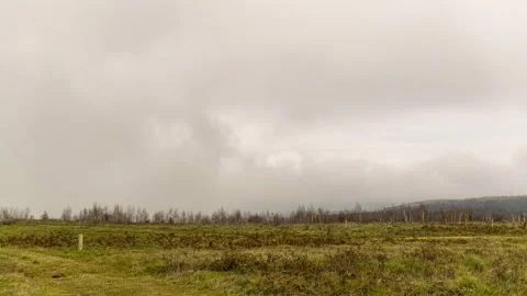 Timelapse of  fog over spruce forest and suburban village Stock Footage 224066048