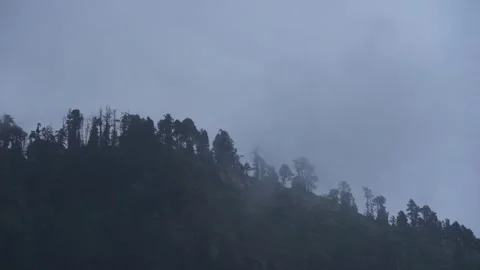 Timelapse of Fog Rolling Over Mountain Ridge with Pine Trees  Monsoon Mood .. Stock Footage 316360723