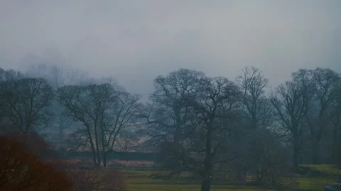 Timelapse fog rolling through forest trees and open field in England. Time lapse Stock Footage 303577060