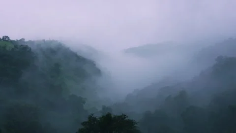 Timelapse - Fog rolling through a valley in rainy season 4K60 Stock Footage 270893105