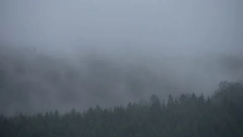 Timelapse of foggy forest 動画素材 153069897