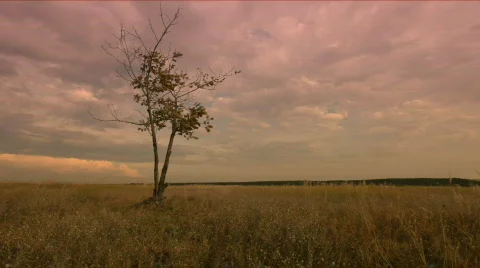 Timelapse Video stock 664721