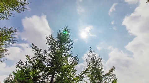 Timelapse Stock Footage 82858340