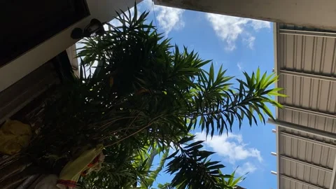Timelapse Stock Footage 240476392