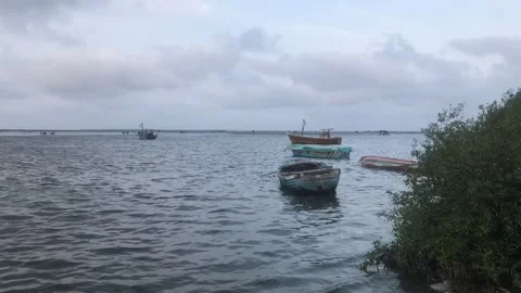 Timelapse Stock Footage 246764443