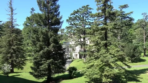 Timelapse footage camera moving to left showing Saint Peter's garden 4k Stock Footage 78501822