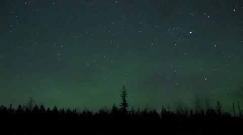 Timelapse - Forest &amp; Aurora Borealis / Northern lights - Finnish Lapland Stock Footage