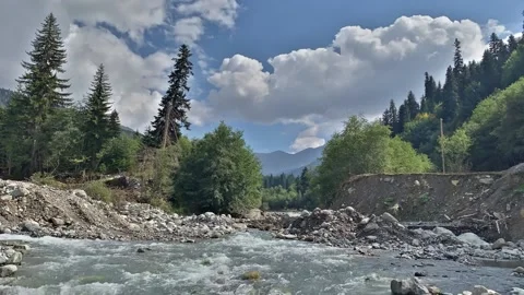 Timelapse forest and mountain river Stock Footage 161302721