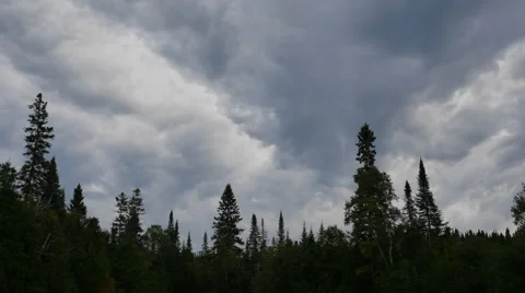 Timelapse of a forest before a storm 스톡 동영상 68933634
