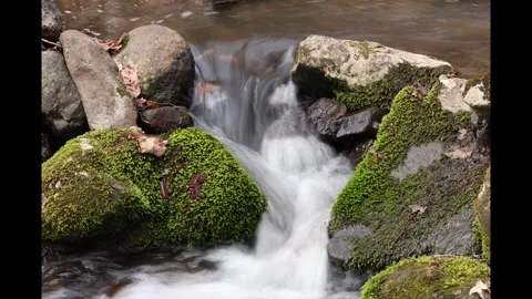 Timelapse of a forest stream flowing between stones 스톡 동영상 273154910