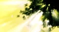 Timelapse Forest Sunlight FX03 Loop HD720 HD Footage